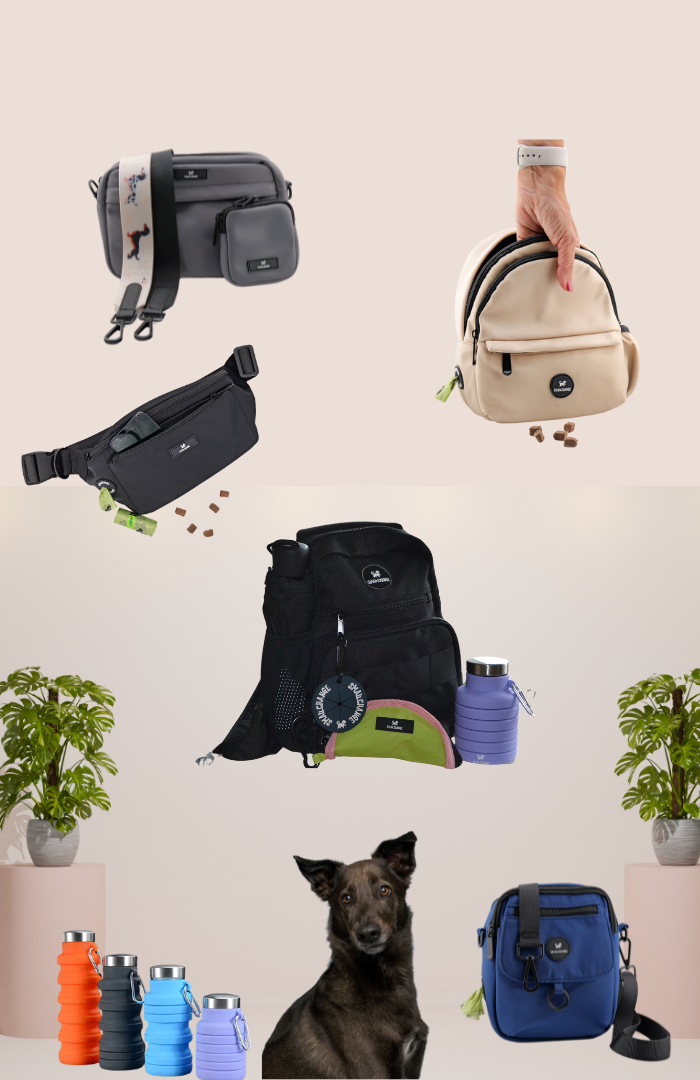 Eine Auswahl an Hundezubehör und Taschen von Alle Produkte, inklusive Futterbehälter und Wasserflaschen.