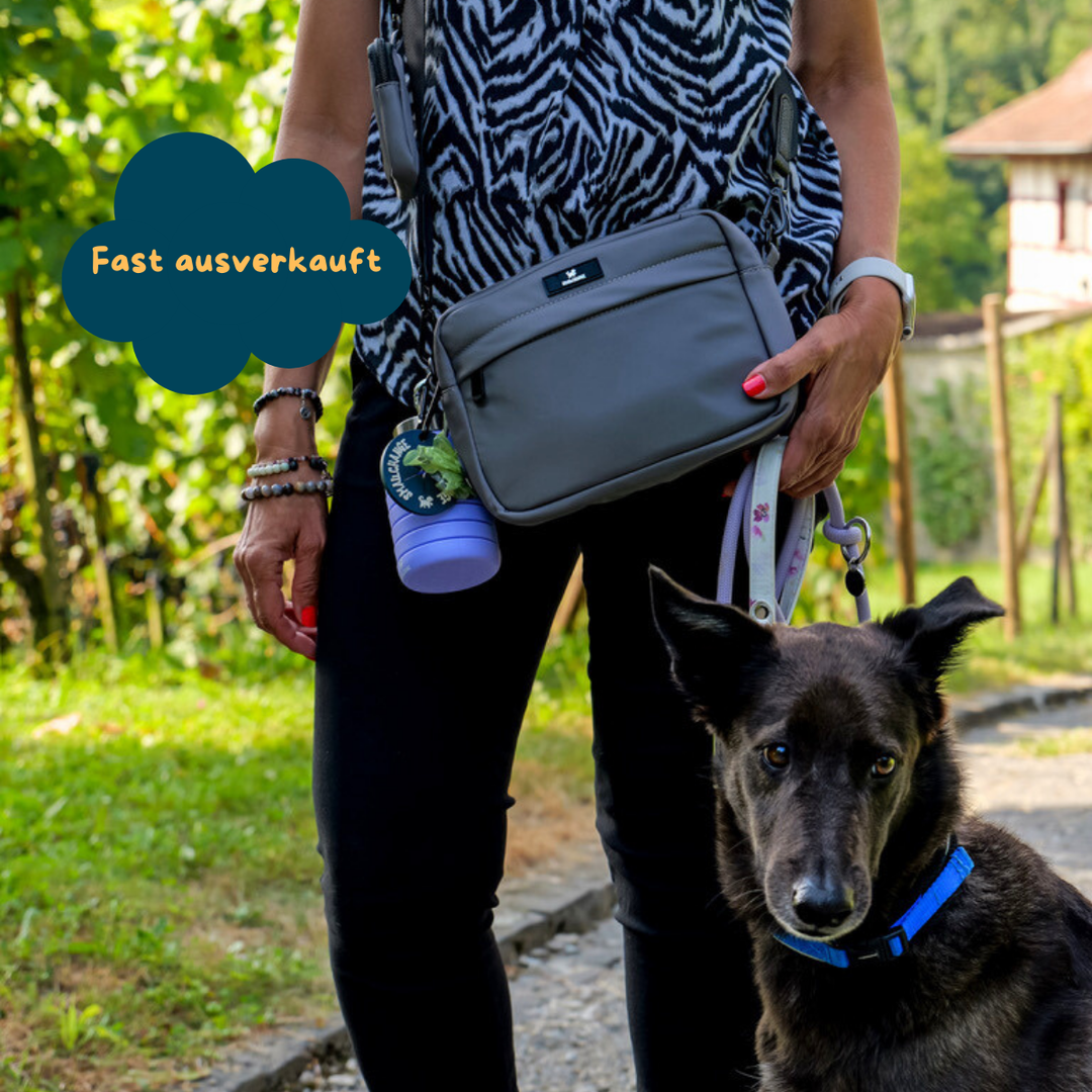 Taschen-Set für entspannte Spaziergänge – stilvoll & funktional!