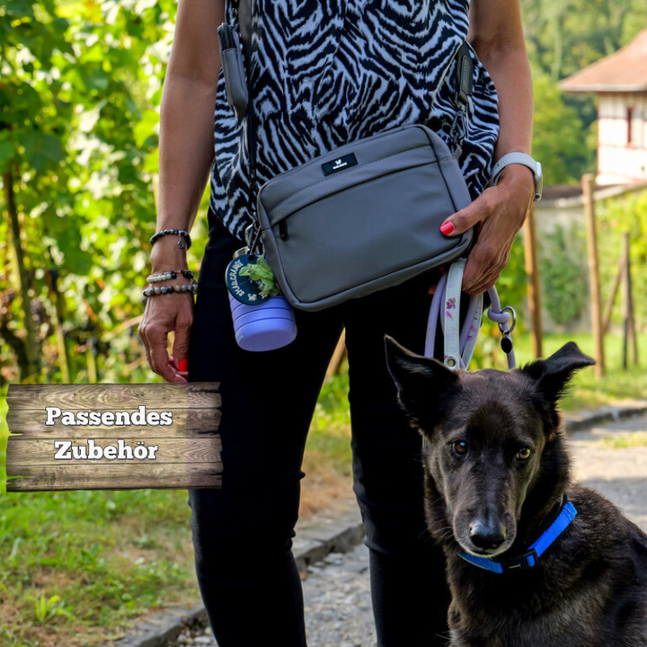 Taschen-Set für entspannte Spaziergänge stilvoll & funktional