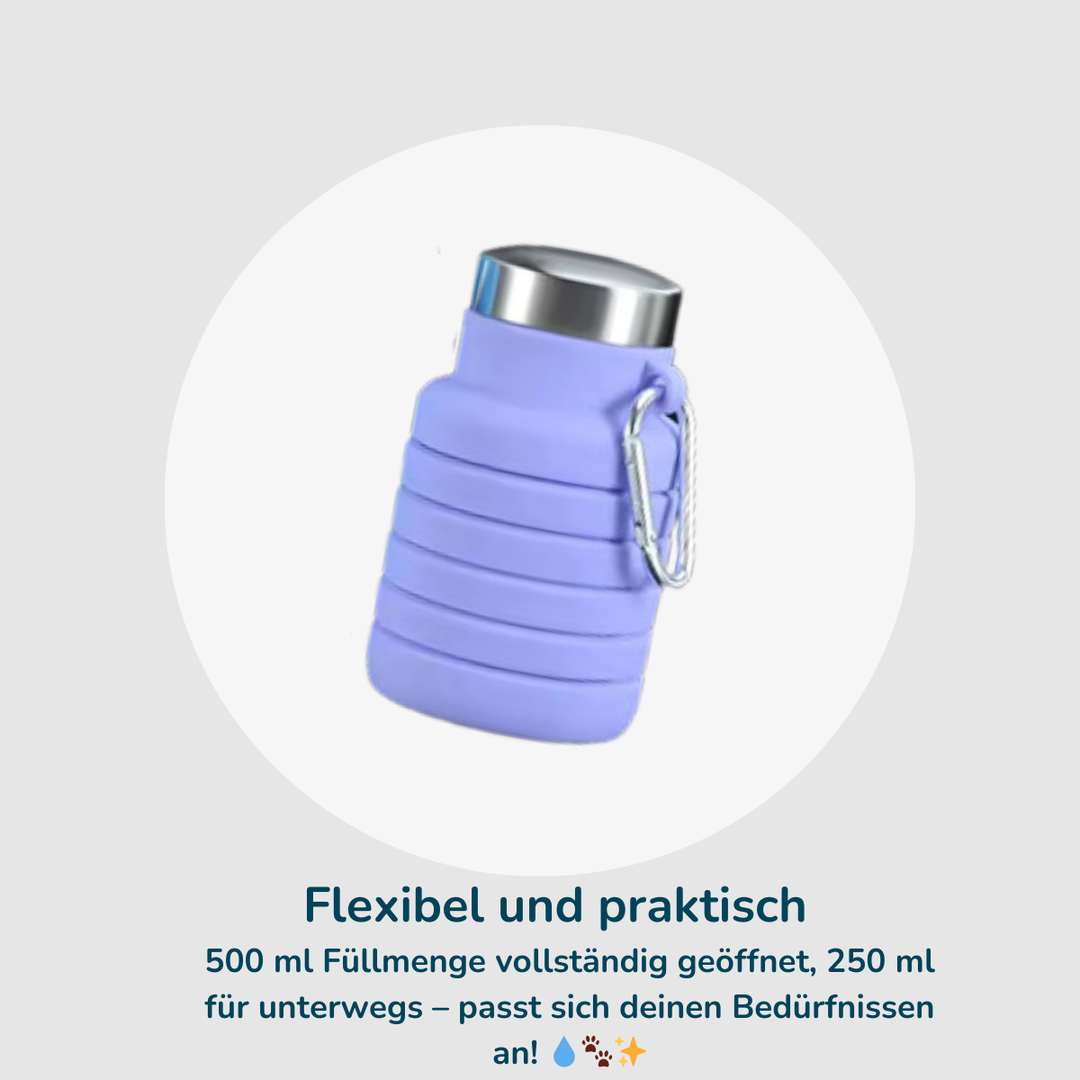 Gassi-Bundle Deluxe - On the Go Set