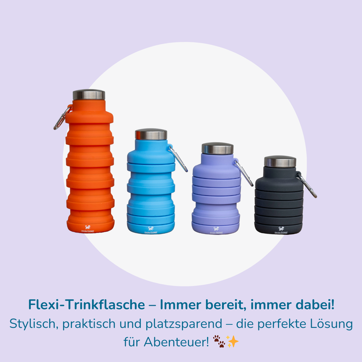 FlexiFlasche – dein Begleiter für Spaziergänge & Abenteuer!