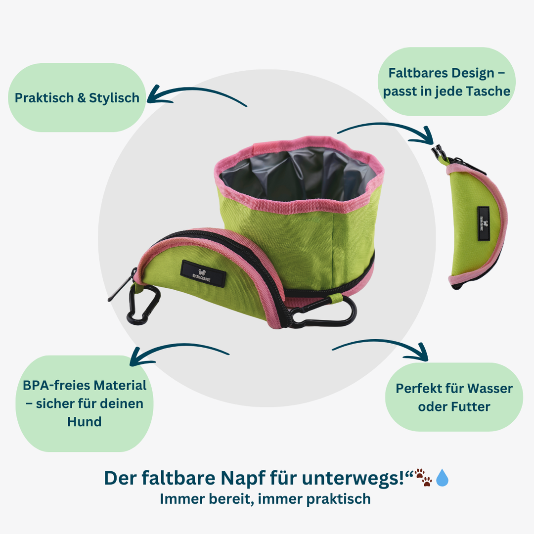 faltbarer hundenapf unterwegs – praktischer Napf für Hunde, ideal für unterwegs, passt in jede Tasche.