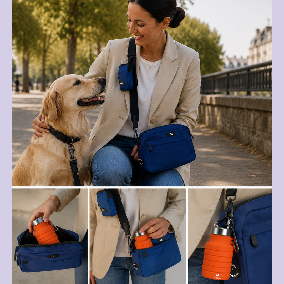 Gassi-Taschen-Set mit fixierbarer Leckerli-Tasche