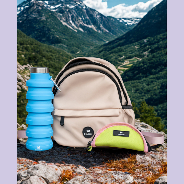 Kompakter Gassi-Rucksack – stilvoll & funktional