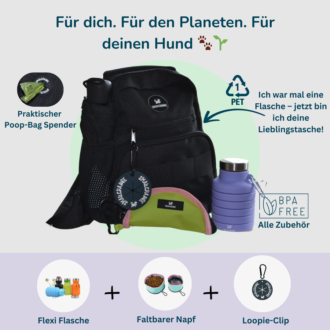 Pawfect Eco Set – Nachhaltig unterwegs!