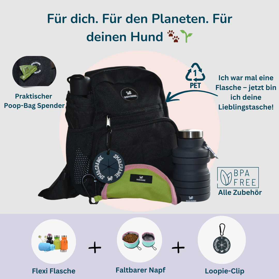 Pawfect Eco Set – Nachhaltig unterwegs!